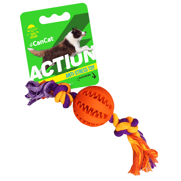 Action-Baseball-Con-Soga-