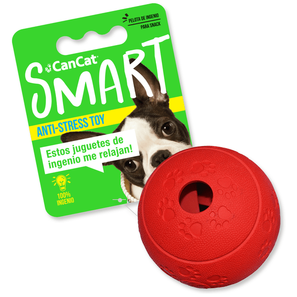 Smart-Big-Ball-