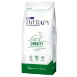 VitalCan-Therapy-Feline-Obesity-Management