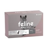 Feline-Fullspot