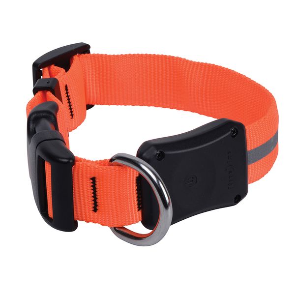 Collar-Nite-Ize-NiteDawg-Led-Naranja-Mediano