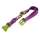 Collar-Ferplast-Club-C-Violeta-Y-Verde-23-32cm-x-10mm