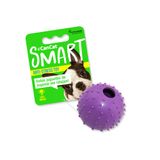 Juguete-Dental-Rubber-Spikey-Ball