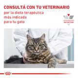 Alimento-Royal-Canin-CatVet-Control-de-Peso-para-Gato-1.5-Kg