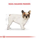 Royal-Canin-Alimento-Seco-para-Bulldog-Frances-Adulto-3kg