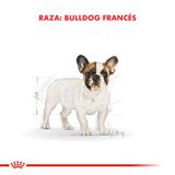 Alimento-Royal-Canin-para-Perro-Bulldog-Frances-Jr-1-Kg