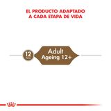 Royal-Canin-Catpouch-Ageing-12--85-Gr