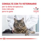 Alimento-Royal-Canin-CatVet-Satiety-Feline-15-Kg