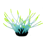 Anemona-Millex-Fluor