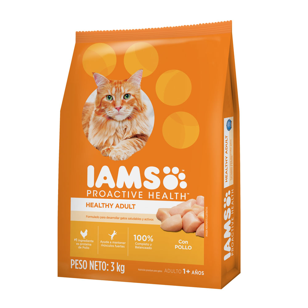 paul iams