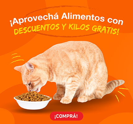 banner-promo1-alimentos-gatos